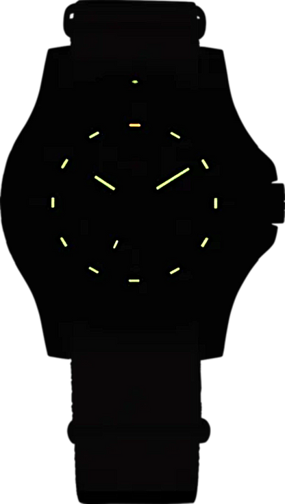 Traser P66 Sand 100232 Herrenuhr • Trigalight • Swiss Made