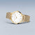 Bering Classic 14134-331 Montre pour Femme • Mouvement à quartz précis • Verre saphir inrayable