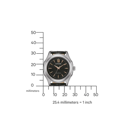 Montre pour femme Citizen FE2110-14E • Eco-Drive • Boîtier en acier inoxydable