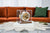 Horloge de table Hermle 17x17x18,5 cm bois • Mouvement mécanique • Sonnerie Westminster