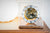 Horloge de table Hermle 17x17x18,5 cm bois • Mouvement mécanique • Sonnerie Westminster