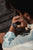 Montre Homme Casio Edifice ECB-900DB-1AER • Énergie solaire • Connexion Bluetooth®