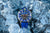 Vostok Europe Systema Periodicum VK67-650A720 Herrenuhr • K1 Glas